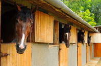 free Cheswardine stable construction quotes